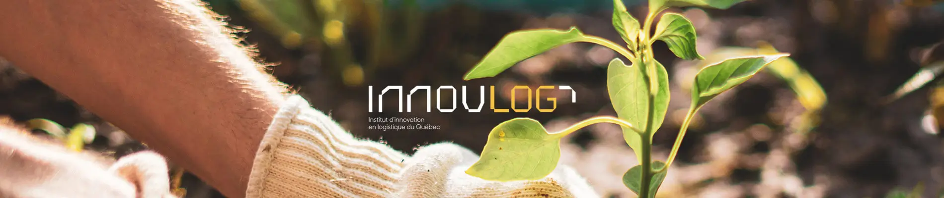 Route optimization in waste management logistics 