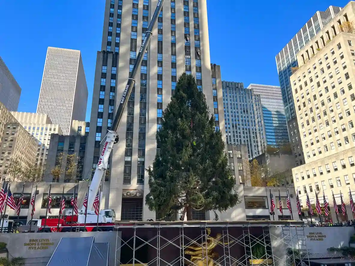 The photo of Rockefeller Center Christmas tree being lifted into place